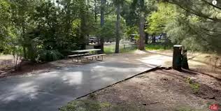 We did not find results for: Disney S Fort Wilderness Resort Cabins And Campsites Walt Disney World Made Easy For Everyone