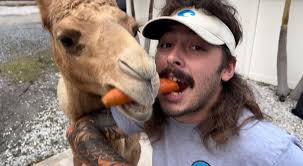 Very fun video today my friends, hanging with @chandler_gk and @ryangradney  . Never a dull moment with the boys 😎🐍🐊