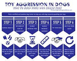 Control Dog Aggression Over Toys