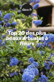 Top 20 Des Plus Beaux Arbustes A Fleurs En 2020 Arbustes A Fleurs Arbuste Jardin Facile