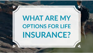 Each plan is different and some provide levels of coverage. Farmers Insurance Stacy Ann Holgate Agency Insurance Company Riverside California 298 Photos Facebook