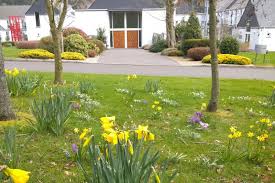 Moderate hutu and others who opposed the massacres were also killed during this period. Lent Reflection Tuesday 23 March National Day Of Reflection John 13 1 5 12 17 Keeping Loving Belfast Cathedral