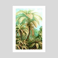 Cover your walls with artwork and browse our selection of tropical vintage art prints and find the perfect design for you—created by. Vintage Tropical An Art Print By 83 Oranges Inprnt