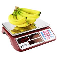 9 kg is how many g. Camry Digital Commercial Price Scale 66lb 30kg For Food Meat Fruit Produce With Dual Bright Red Led Display Stainless Steel Platform Rechargeable Battery Included Not For Trade Buy Online In Oman