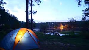 Check spelling or type a new query. Cool Camping Trips At Florida State Forests