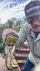 Kyler Cox (@twistedsagemedia)