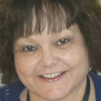 David Gull Email & Phone Number