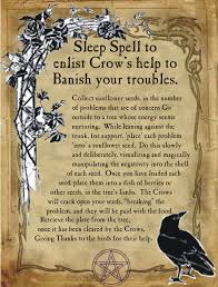 Sleep Spell To Enlist Crow S Help To Banish Your Troubles For Homemade Halloween Spell Book Halloween Spell Book Sleep Spell Halloween Spells