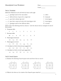 Answer each of the following questions using a punnett square and the rules of monohybrid crosses. Quiz No 4 Monohybrid Cross Dominance Genetics Zygosity