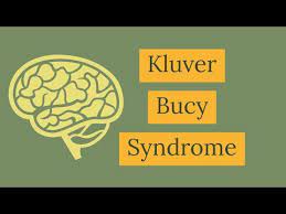 Functions Of Brain And Kluver Bucy Syndrome Physiology Review 200 Mcq 2016 Youtube