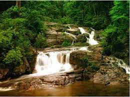 Taman negara gunung ledang mula beroperasi pada julai 2003, dan telah diwartakan sebagai taman negara johor pada 3 oktober 2005. Gunung Ledang National Park Nature Reserve Ledang Travelmalaysia