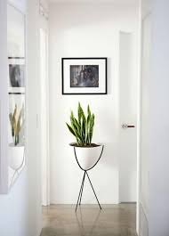 Decorar La Entrada De Mi Casa Plantas De Interior Decoracion De Unas Soporte Para Plantas