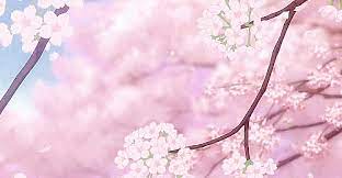 We did not find results for: Animated Gif In Sakura Tree Collection By Private User