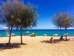 Situata nel quartiere de la ribera. Le Spiagge Nei Dintorni Di Barcellona Scoprite Le Nostre Preferite