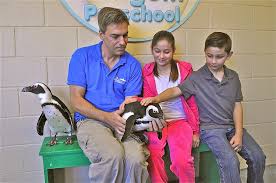 Can you legally buy and own a penguin as a pet? Penguin Encounter Long Island Aquarium
