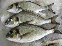 Con l'aiuto di un cucchiaino, premendo leggermente, disegnate sul sale, le squame. Orata Al Forno In Crosta Di Sale Ricetta Preparazione