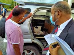 We did not find results for: Oku Dituduh Dera Anjing
