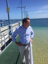 This web page shows only a small excerpt of our mcgowan research. Mark Mcgowan On Twitter This Is My Local Beach My Family Regularly Swim In Cockburn Sound I Am Demanding Answers About The Mass Fish Kill Https T Co Uyz83dzbre