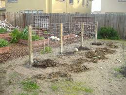 An arbor or trellis can be just as equipped to fashion your own personalized outdoor movie theater. Sacramento Vegetable Gardening The Wrong Way To Build A Grape Arbor