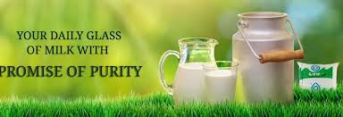 Importance Of Milk In Our Diet Punjab Milk Producers Federation Cooperative Society Dairy Farming Products Manufacturing Of Verka Milkfed Brand Verka Another thing common is the morning cup of milky tea.