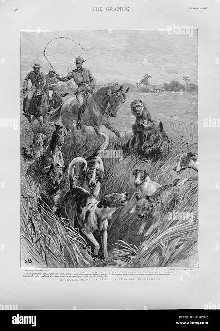English: Views from the ILLUSTRATED LONDON NEWS and The Graphic (some with later hand coloring, all from ebay auctions): 'Loodhianah on the Sutlej'*, 1846 'Sikh Soldiers'*, 1846 'The British Museum'*, 1851 '