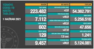 4 haziran cuma gününün verilerine göre, 224 bin 681 testin daha yapılmasıyla toplam. Son Dakika Haberi Saglik Bakanligi Kovid 19 Salgininda Son Durumu Acikladi Iste 1 Haziran 2021 Koronavirus Tablosu