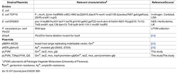 Image result for pseudomonas savastanoi pv nerii oleander symptoms
