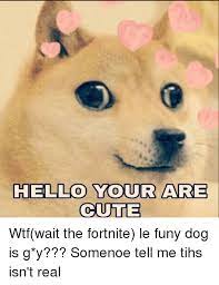 Hello Your Are Cute Cute Meme On Me Me