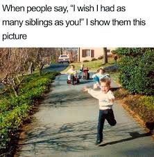 Check spelling or type a new query. Sibling Memes 40 Funny Images To Troll Your Bro Sis