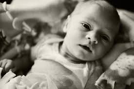 Mandie Haman Photography