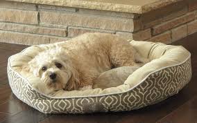 Eventually, you'll have to clean your dog bed, potentially washing its 'cover' in a machine. Pet Bed Large Dog Pad Oval Shape Side Bolsters Soft Cozy Cushion Washable Cover Dog Bed Large Dog Pet Beds Dog Pads