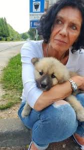 Hilfe für die Niemandspfoten e.V. Hunde