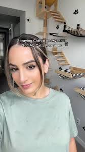 Chase The Cat and Sky and Millie