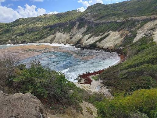 Cove Bay - ALL You Need To Know