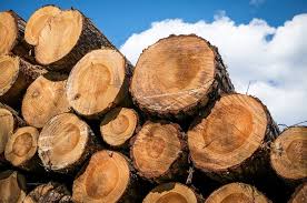 Instruction to timber grader 2018 Largest Wood Producing Countries 2020 Largest Wood Exporters Importers