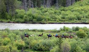 Maybe you would like to learn more about one of these? Yellowstone Cabins Wyoming Lodging Pahaska Tepee Resort Wy
