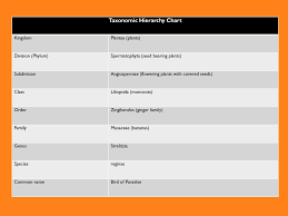 the classification of plants ppt download