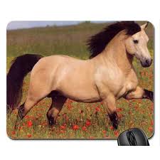 Browse horses, or place a free ad today on horseclicks.com. Popcreation Buckskin Horse Mouse Pads Gaming Mouse Pad 9 84x7 87 Inches Walmart Com Walmart Com