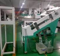 CCD Optical Belt Type Color Sorter Machine For Blueberry