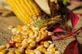 I consigli su quando usare l'uno o l'altra. Come Sostituire L Amido Di Mais Gli Ingredienti Alternativi