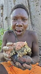 chaabaa never get tired in this jungle #reels #shorts #video #trending #usa  #food #africanamerican