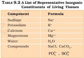 Vitamins And Minerals Deficiency Diseases Pmf Ias