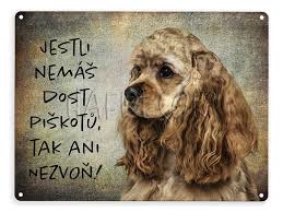 Image result for americký kokršpaněl