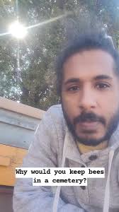 Beehive over Grave Site in Texas