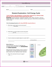 Record the number of cells in each phase of the cell cycle in the table below. Carbon Cycle Biology Worksheet Printable Worksheets And Activities For Teachers Parents Tutors And Homeschool Families