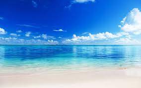 Check spelling or type a new query. 129 Beach Wallpaper Examples To Put On Your Desktop Background