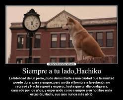 Siempre A Tu Lado Hachiko Siempre A Tu Lado Hachiko Perro Hachiko Hachiko
