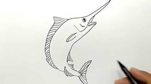 Apalagi temanya alam laut, maka ikan wajib berada di dalam gambar kita. Streaming Cara Menggambar Ikan Pedang Atau Ikan Cucut Hanya 1 Menit How To Draw Fish Easy Vidio Com