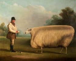 Bbc Your Paintings Prize Sheep Sheep Art Animals Art Uk