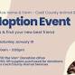 Adoption Event at Elkton Ace event in Oxford, PA